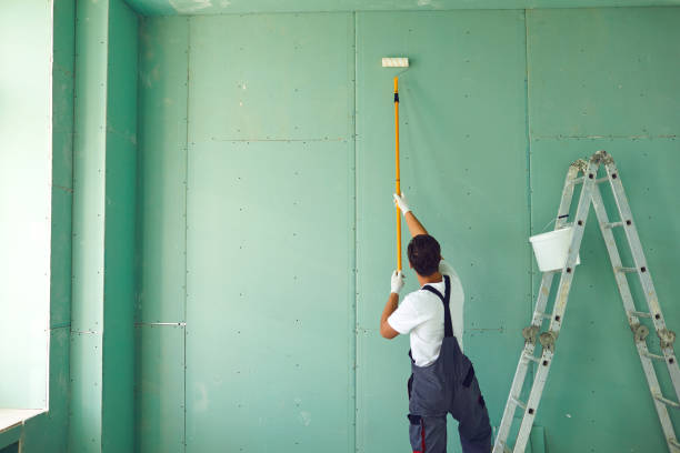 Best Attic Mold Removal  in Poland, OH