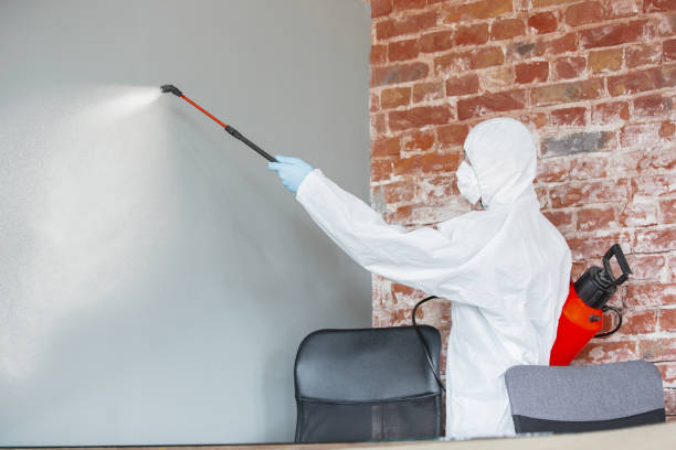 Best Mold Odor Removal Services  in Poland, OH