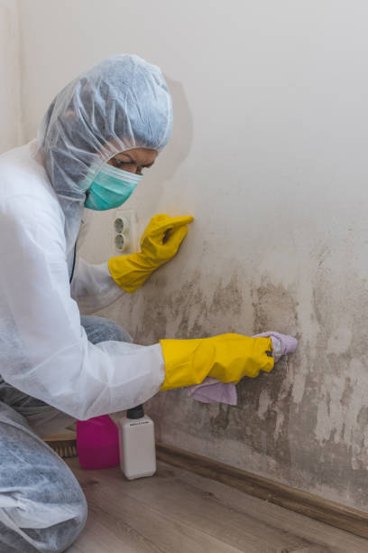 Best Biohazard Mold Removal  in Poland, OH