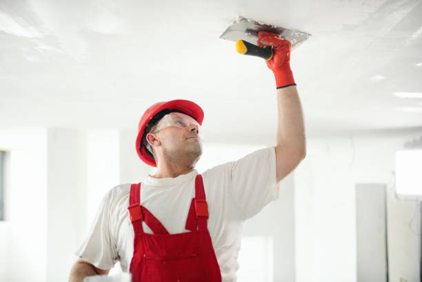 Best Basement Mold Removal  in Poland, OH