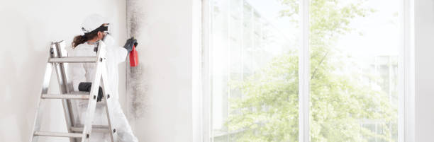 Best Comprehensive Air Testing for Mold Contaminants  in Poland, OH