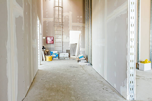 Best Black Mold Removal  in Poland, OH